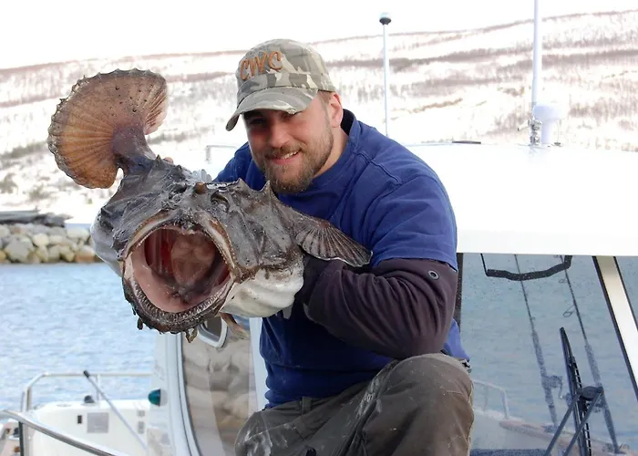 Hav Og Fjell As Hansnes